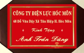 khánh vàng theo yêu cầu 10