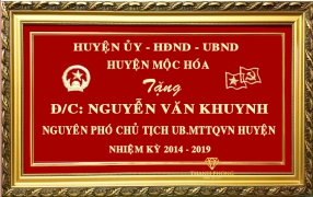 khánh vàng theo yêu cầu 12